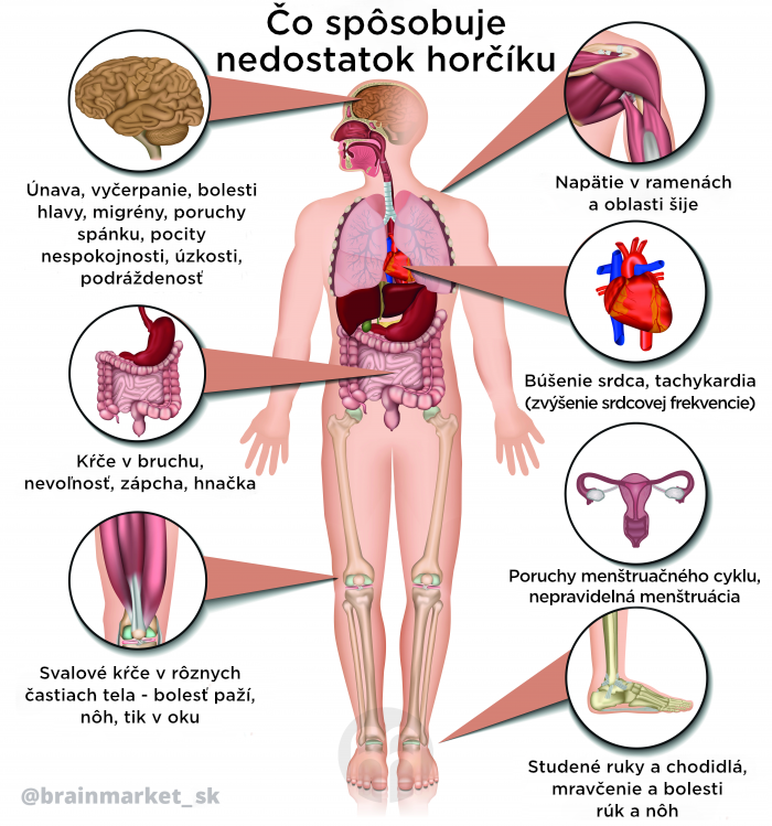 nedostatek_horciku_-_telo_infografika_brainmarket_CZ-min